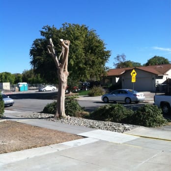 Acosta's Landscaping - Later - Gardeners Near Me - San Jose, California Acosta's Landscaping - Later - Gardeners Near Me - San Jose, California