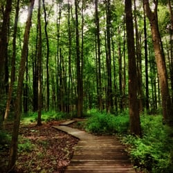 Five Mile Woods Preserve Headquarters - Beautiful!