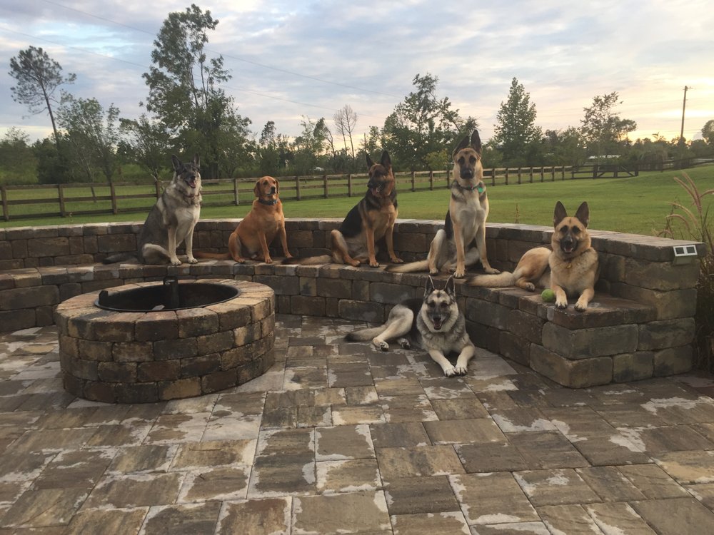 K9 TRAINING Updated July 2024 7818 Kingswood Rd, Southport, Florida