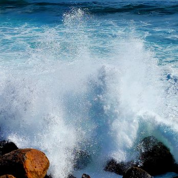 Eco Ebikes Kauai - Bike Rentals Near Me - Lihue, Hawaii Eco Ebikes Kauai - Bike Rentals Near Me - Lihue, Hawaii