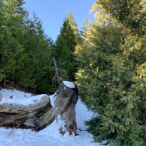 Lake Arrowhead Chalets on Yelp