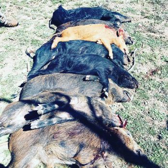 Pro Texas Hunts - Hunting & Fishing Supplies Near Me - San Antonio, Texas Pro Texas Hunts - Hunting & Fishing Supplies Near Me - San Antonio, Texas
