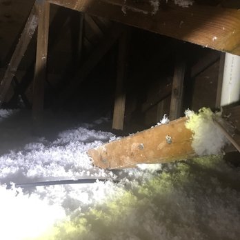 American Insulation - Insulation Installation Near Me - Hollywood, Florida