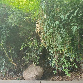 Taiyos Sushi & Poki - Garden by the entrance - Sushi Bars Near Me - Riverside, California Taiyos Sushi & Poki - Garden by the entrance - Sushi Bars Near Me - Riverside, California