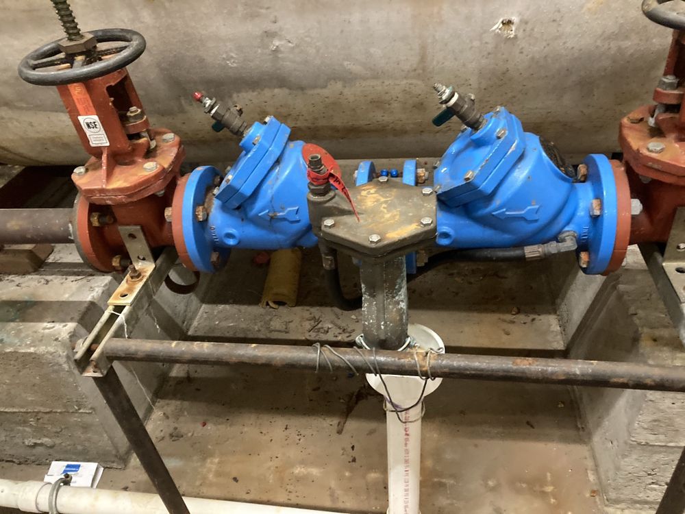 Slide of Roger Rooter