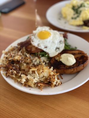 Shorehouse Kitchen Carlsbad by null