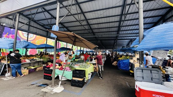 Hilo Farmer's Market by null