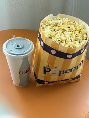 Brooklyn Academy of Music by null