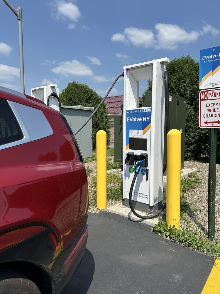 Seven Dragon Seven Dragon