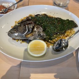 Sea bass Sea bass