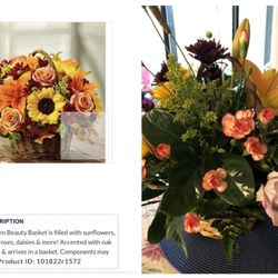 New Tampa Florists - On the left is the product I ordered from New Tampa Florist. On the right is what they delivered. Very different