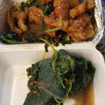 Yu's Garden - A dish washing sponge mixed in with spinach. - Taiwanese Near Me - Irvine, California Yu's Garden - A dish washing sponge mixed in with spinach. - Taiwanese Near Me - Irvine, California