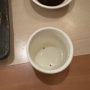 Aroma Korea - Roach frass (poop) in sake - Korean Near Me - Cary, North Carolina Aroma Korea - Roach frass (poop) in sake - Korean Near Me - Cary, North Carolina