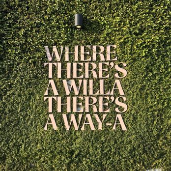 Willa's - New American Near Me - Tampa, Florida