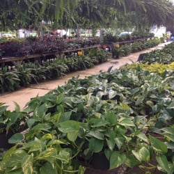 Barretts Garden Center