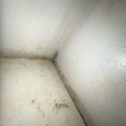 Investment Realty - Mold on corner of closet