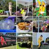 Sacramento Banana Festival gift card