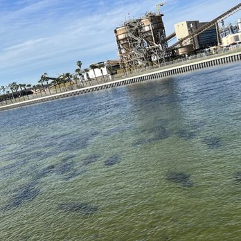 Manatee Viewing Center - Manatees - Zoos Near Me - Apollo Beach, Florida