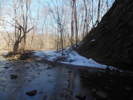 Rock Bridge Memorial State Park by null