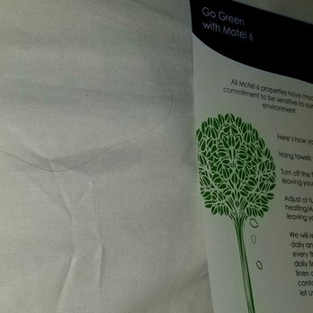 Motel 6 - Hair on pillow - Hotels Near Me - The Dalles, Oregon Motel 6 - Hair on pillow - Hotels Near Me - The Dalles, Oregon