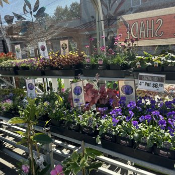 Sebastopol Hardware - Lots of flowers and veggies - Hardware Stores Near Me - Sebastopol, California Sebastopol Hardware - Lots of flowers and veggies - Hardware Stores Near Me - Sebastopol, California