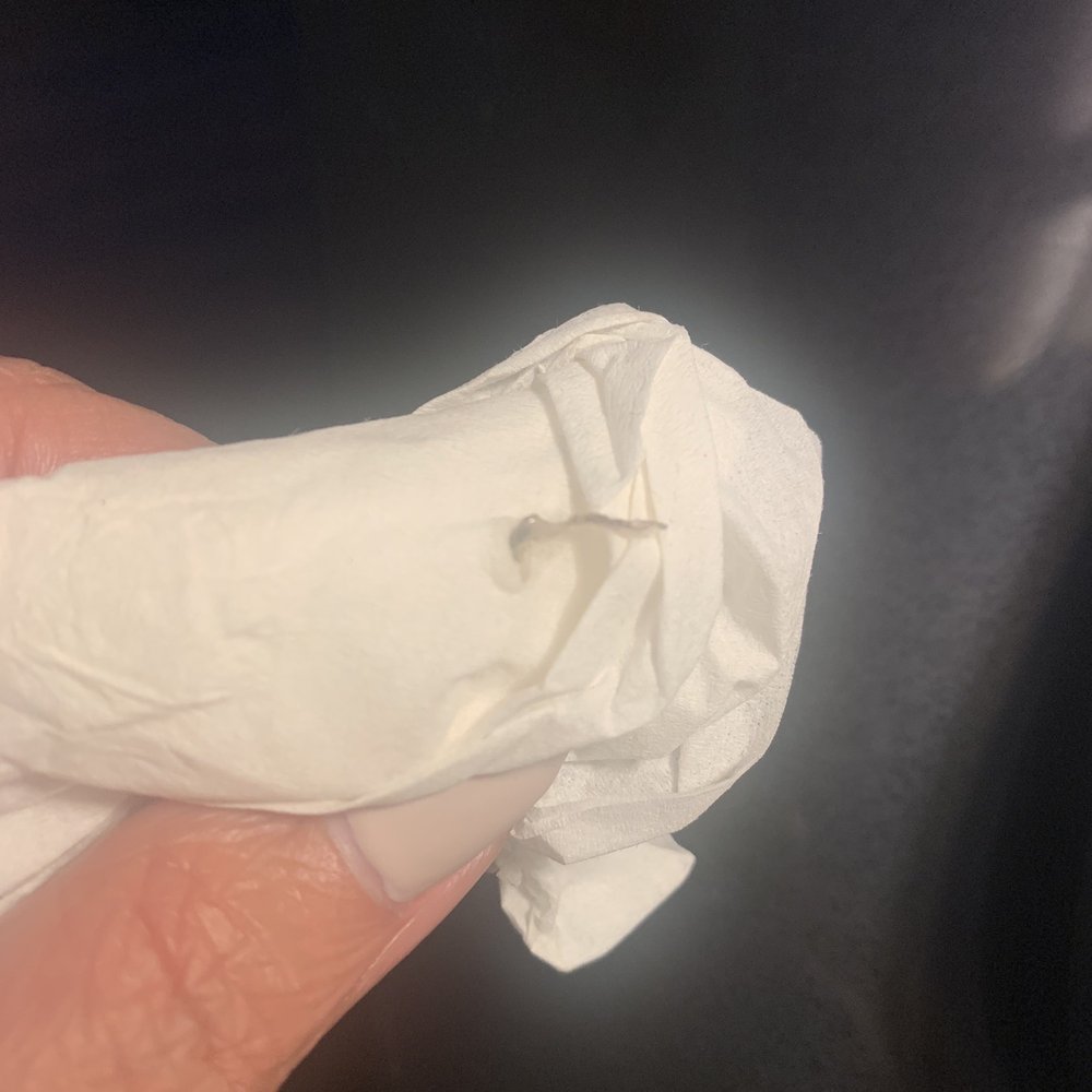Deka Lash - Another piece I pulled out of my eye. - Eyelash Service Near Me - Columbus, Ohio Deka Lash - Another piece I pulled out of my eye. - Eyelash Service Near Me - Columbus, Ohio