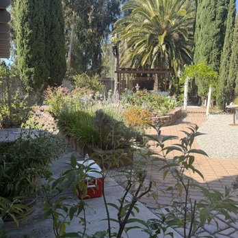 Greenline Tree Experts - Tree Services Near Me - San Jose, California Greenline Tree Experts - Tree Services Near Me - San Jose, California