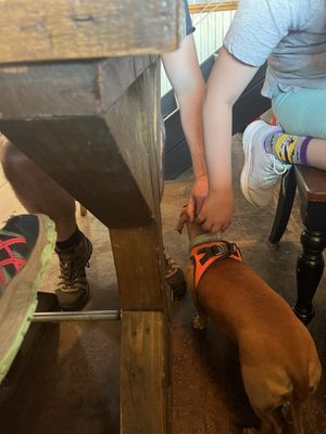 Fat Ass Off the Ranch - Cisco, Texas by null