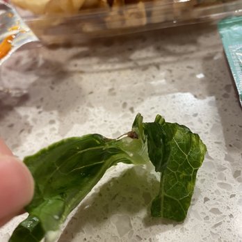 Chick-fil-A - ows a hand holding a piece of lettuce - Fast Food Near Me - Dedham, Massachusetts Chick-fil-A - ows a hand holding a piece of lettuce - Fast Food Near Me - Dedham, Massachusetts