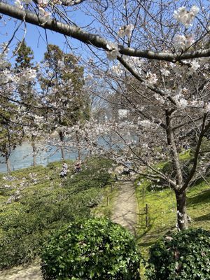 Shukkeien Garden by null