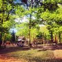 Photo of Waldspielplatz Müllers Wiese