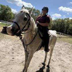 Equestrian Quest Stables - Romeo was so much fun!