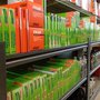 Photo of Minit Lube