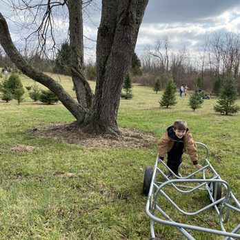 Dealker's Farm Christmas Trees - Pick Your Own Farms Near Me - Dayton, Ohio