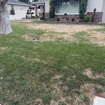 Primary Landscape - Landscaping Near Me