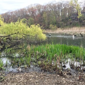 High Park - Parks Near Me - Toronto, Ontario