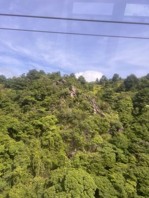 Ngong Ping 360 by null