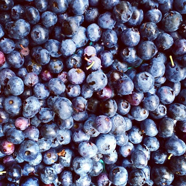 MOUNTAIN ROOSTER PRODUCE Updated September 2024 1947 Tynecastle Hwy