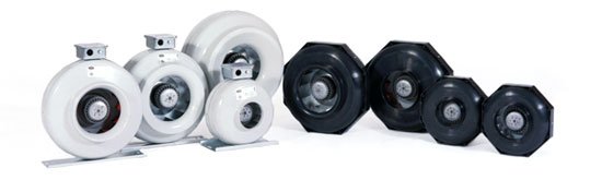 Harvest Moon Hydroponics by null