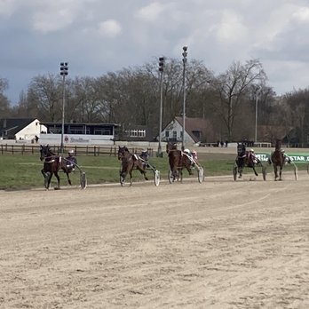 GelsenTrabPark - Horse Racing Near Me - Gelsenkirchen, NW GelsenTrabPark - Horse Racing Near Me - Gelsenkirchen, NW