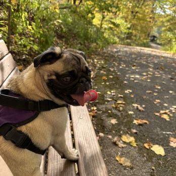 Fort Harrison State Park - Parks Near Me - Indianapolis, Indiana