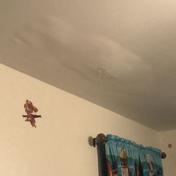 DICICCO BUILDERS - a bird on the ceiling - General Contractors Near Me