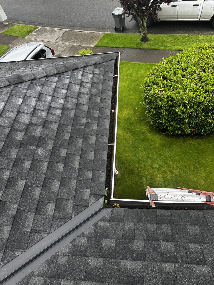 Slide of Apex Pro Kleening