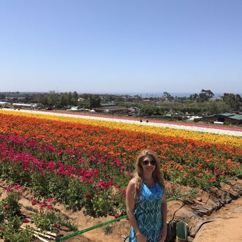 The Flower Fields - Venues & Event Spaces Near Me - Carlsbad, California The Flower Fields - Venues & Event Spaces Near Me - Carlsbad, California