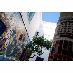 La Casa Azul - El Patio de la Casa Azul