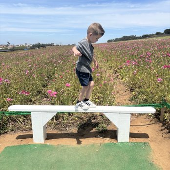 The Flower Fields - Venues & Event Spaces Near Me - Carlsbad, California The Flower Fields - Venues & Event Spaces Near Me - Carlsbad, California