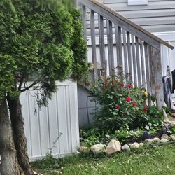 Ahmadiyya Muslim Community Centre Albany Chapter - Audio devices bc they are voyeuristic, empty vessels trying to use what I say in my own house against me. In america. Freedom of speech.