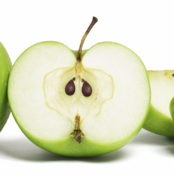 Appleseed Consulting