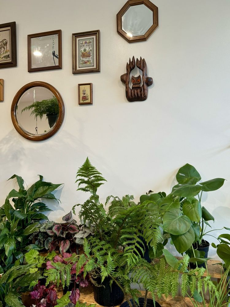 Cast & Grey Botanical