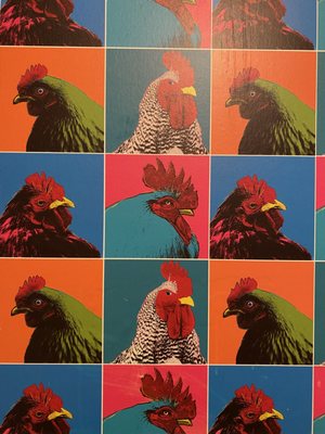 Roost Chicken & Biscuits by null
